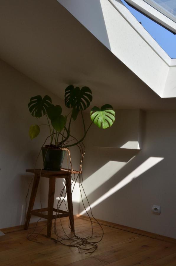 Ferienwohnung Poddasze Na Starym Podgorzu Krakau Exterior foto